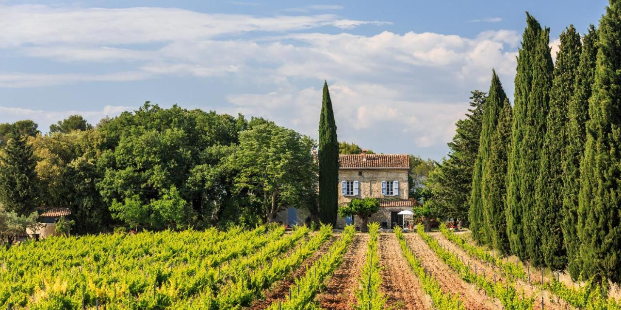 Chateau Saint-Esprit Bed & Breakfast Draguignan Exterior photo