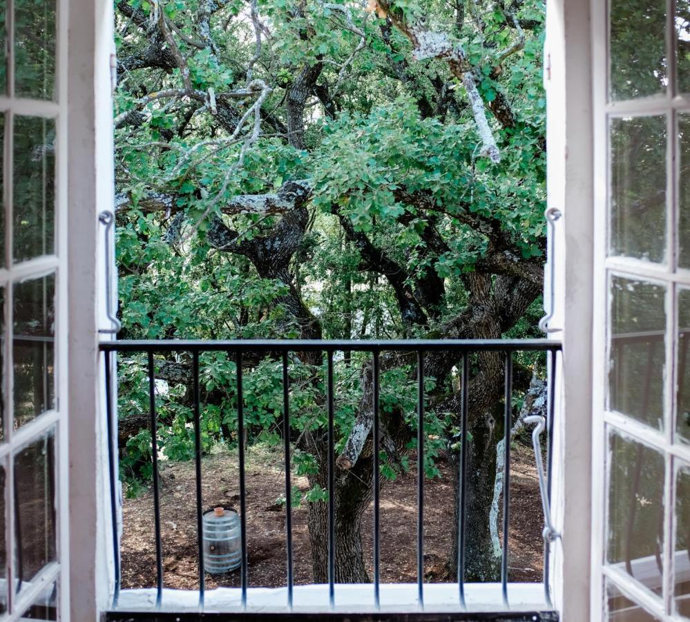 Chateau Saint-Esprit Bed & Breakfast Draguignan Exterior photo